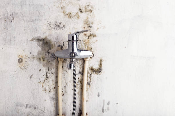 Best Residential Mold Removal  in Hurricane, WV