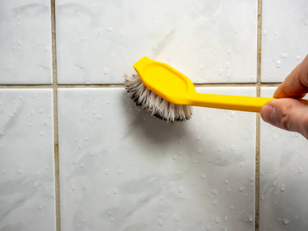 Office Mold Removal Services in Hurricane, WV