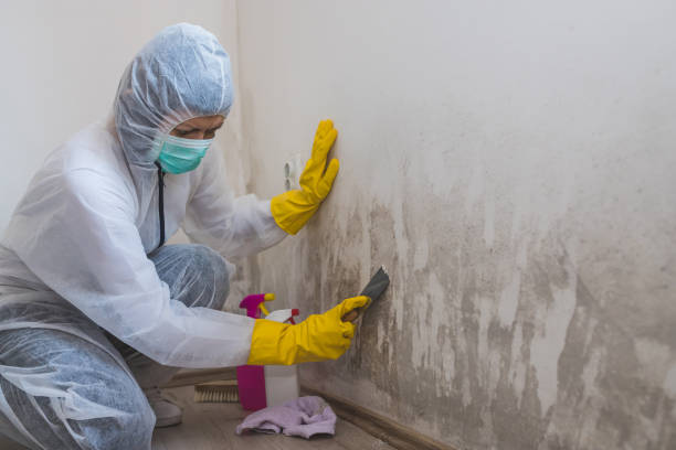 Water Damage Restoration in Hurricane, WV
