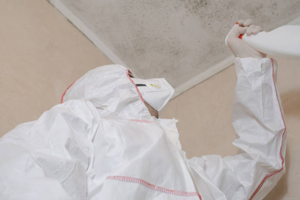Best Office Mold Removal Services  in Hurricane, WV